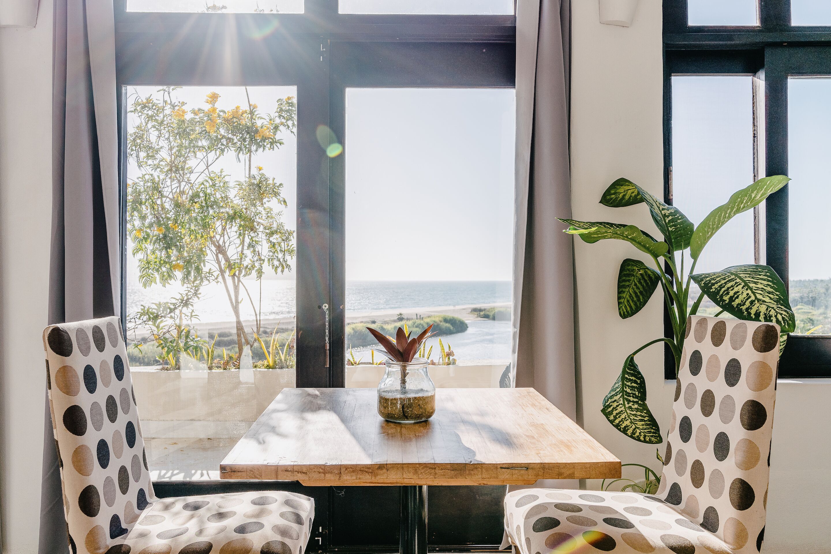 Un comedor con mesa y sillas, vista al océano y una planta sobre la mesa.