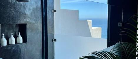 Un baño moderno con cabina de ducha de vidrio, una planta en maceta y vista al mar.