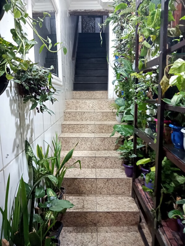 Interior entrance - CASADALUCIA POUSADA (Salvador)