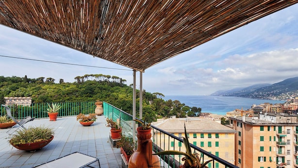Une terrasse agrémentée de plantes en pot, une table et une vue sur la mer et le paysage urbain.