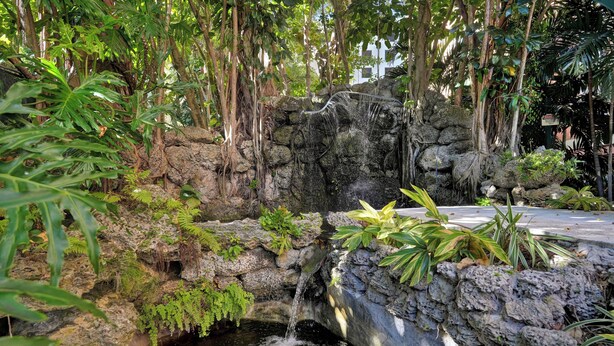 Una fuente natural con una cascada que desciende, rodeada de abundante vegetación y rocas.