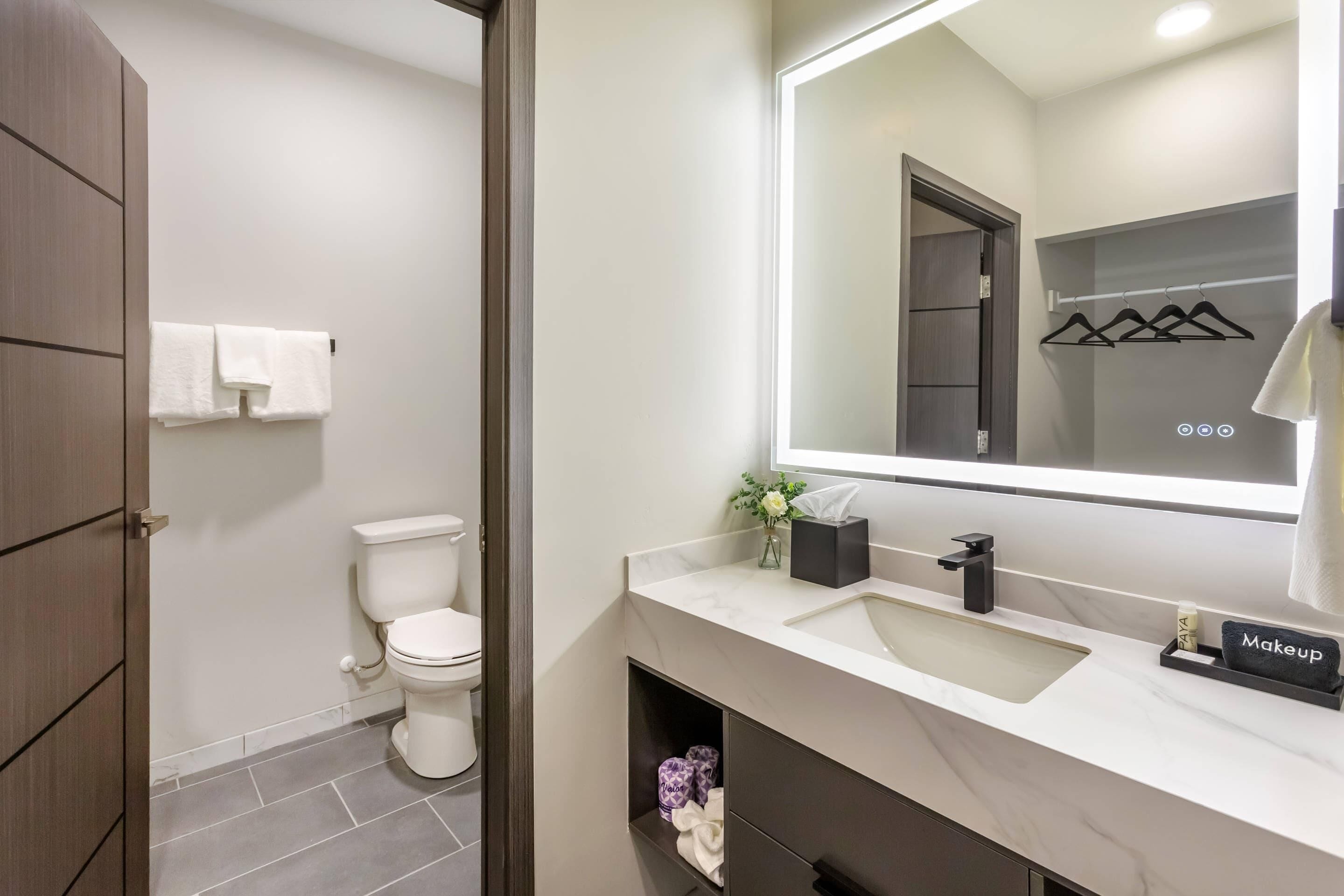 A modern bathroom with a toilet, a sink with a mirror, and a vanity with a makeup organizer.