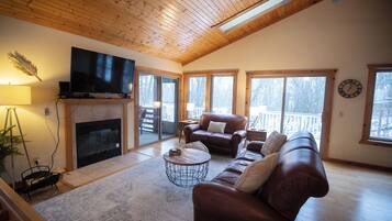 Smart TV, fireplace, books