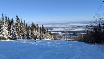 Sneeuw- en skisporten