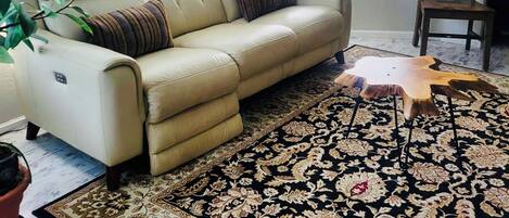 智能电视、DVD 播放器、立体声音响、电脑显示器