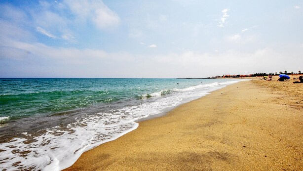 Una spiaggia con un litorale sabbioso e mare calmo.