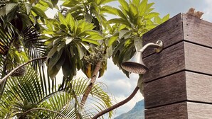 A view of a coastal area with a wooden structure and lush greenery. - Villa de Luxe La Paillotte (Black River)