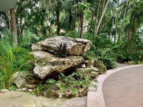 Oasis de Tranquilidad en Playa del Carmen