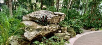 Oasis de Tranquilidad en Playa del Carmen