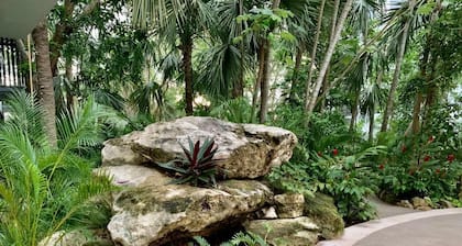 Oasis de tranquilidad en Playa del Carmen