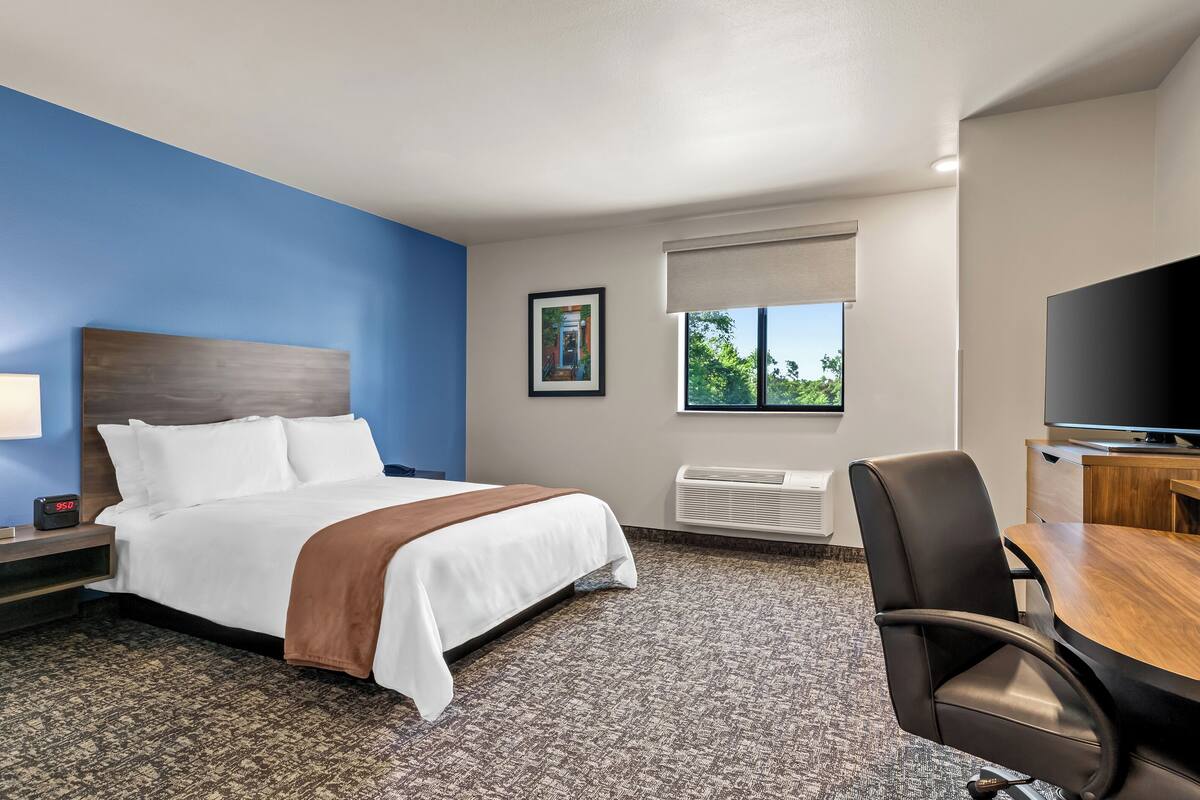 A hotel room with a bed, a desk, a chair, a television, and a window with a view of trees.
