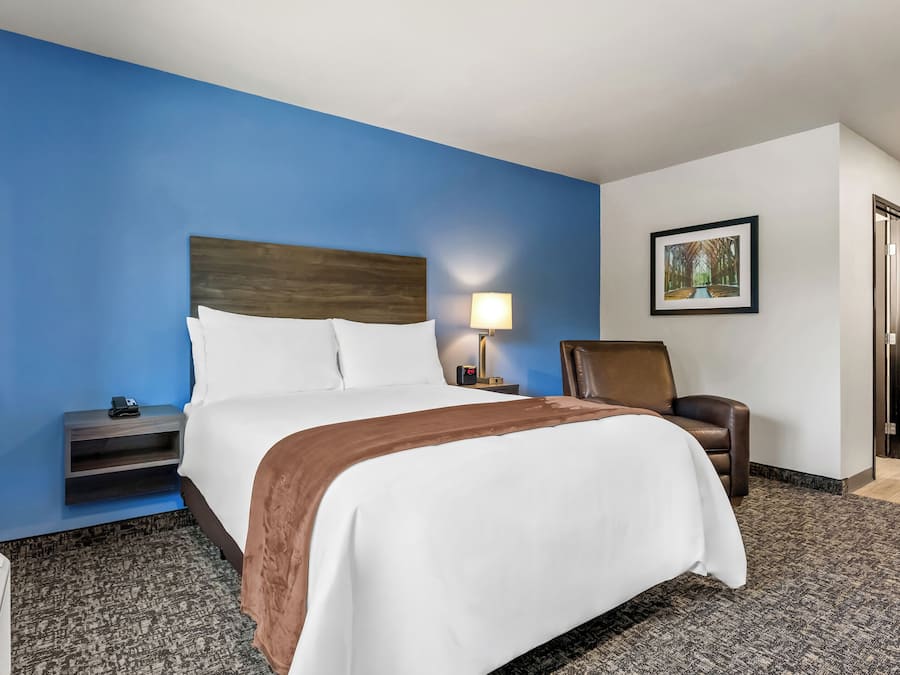 Habitación de hotel con una cama grande, una mesita de noche, una silla, una lámpara y un cuadro en la pared.