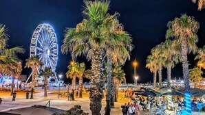 Vista nocturna de un paseo marítimo con palmeras, una noria y zonas de estar al aire libre.
