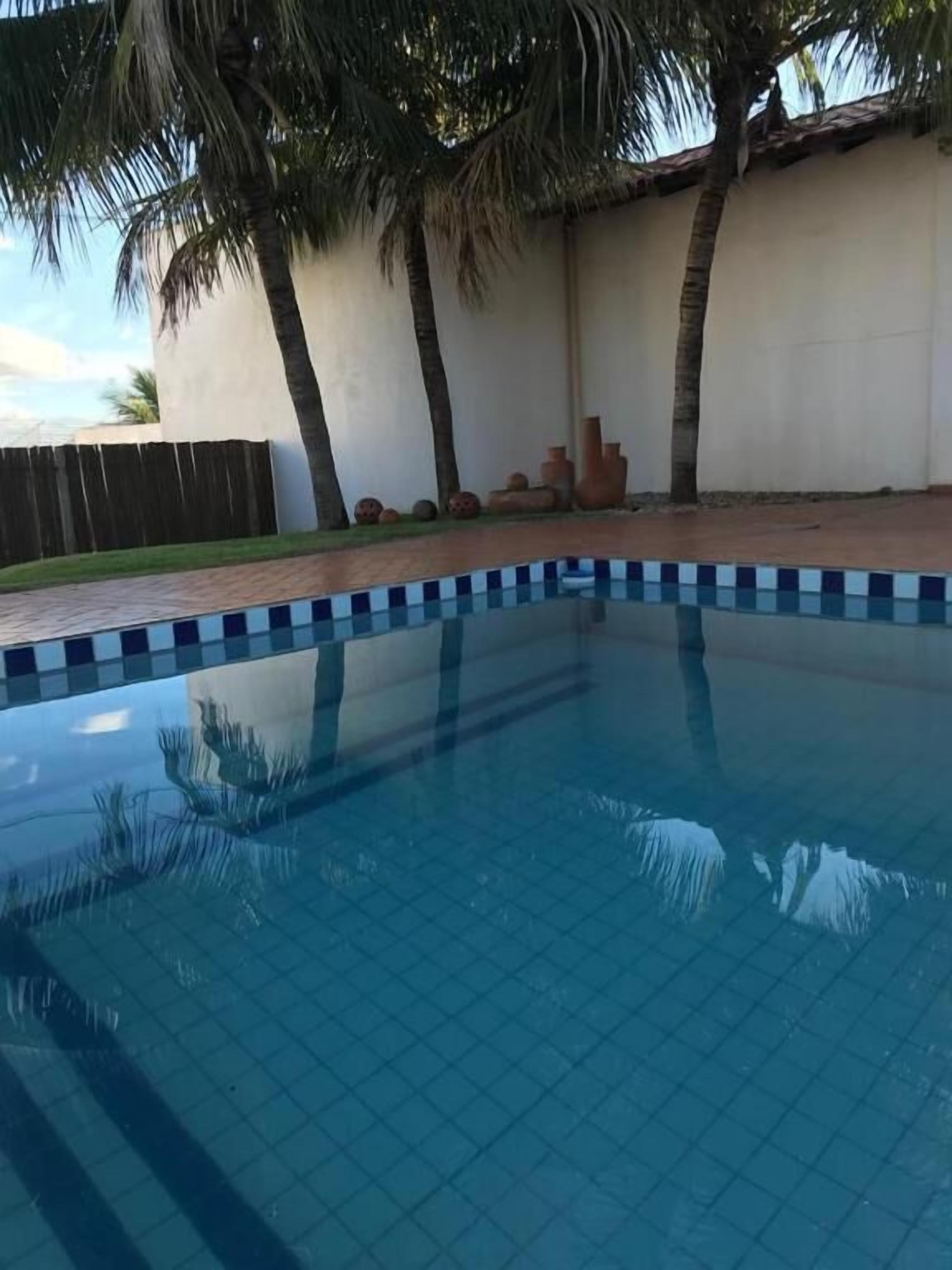 Una piscina con borde de azulejos, rodeada de palmeras y un muro bajo.