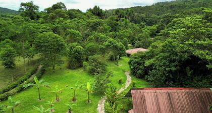 Excellent accommodation in wooden cabins equipped with with all services