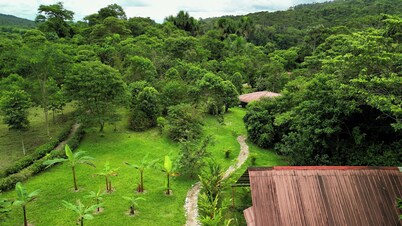 Excellent accommodation in wooden cabins equipped with with all services