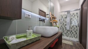 Shower, hair dryer, bidet, towels