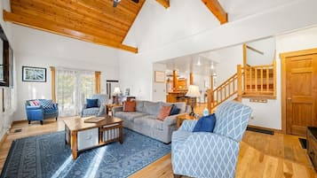 TV, fireplace, video games, books