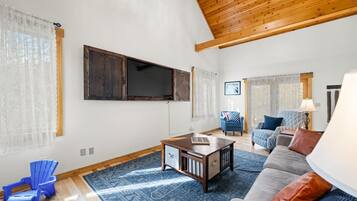 TV, fireplace, video games, books