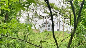 Een wit huis met schoorsteen, omringd door weelderige begroeiing en een klein waterpartij.