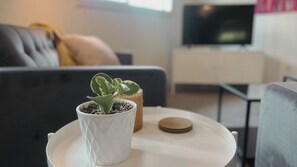 Habitación clásica doble, 2 camas de matrimonio, vistas a la montaña | Zona de estar | Smart TV de 40 pulgadas con canales por cable