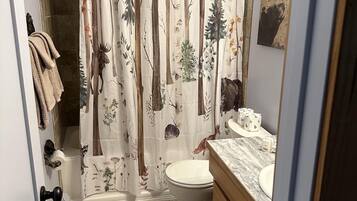 Regadera, secadora de cabello, toallas