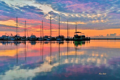 Perfect Family Fun  | Pool, King Bed+BBQ+Sleeps 6