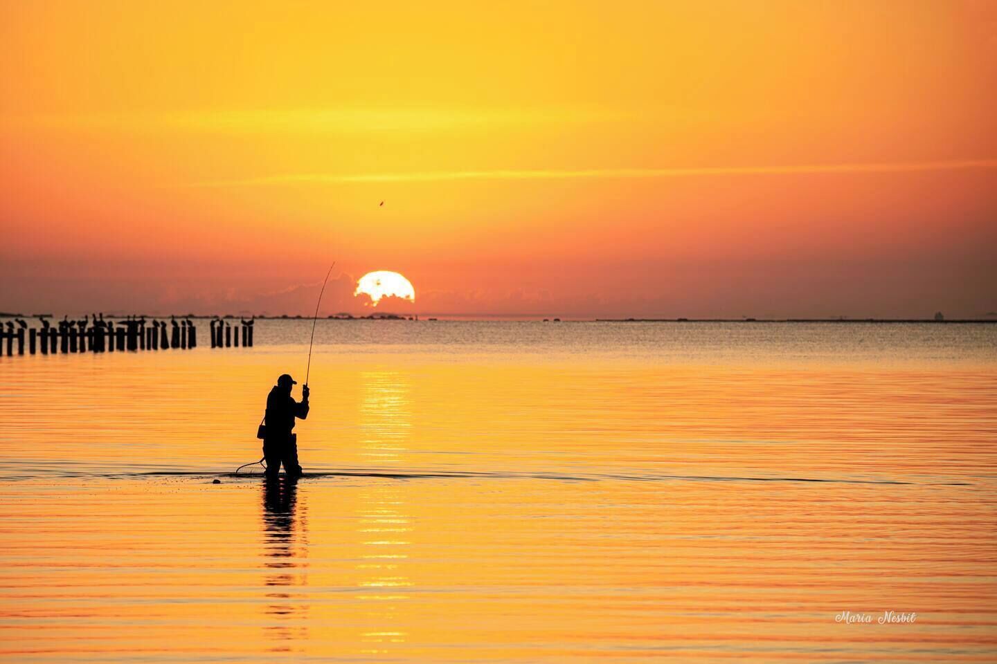 A person fishing at sunset with a pier in the background.