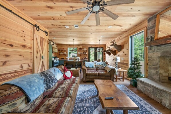 TV connectée, cheminée