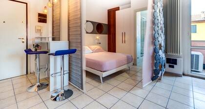 Massarenti 14 a Porta San Vitale