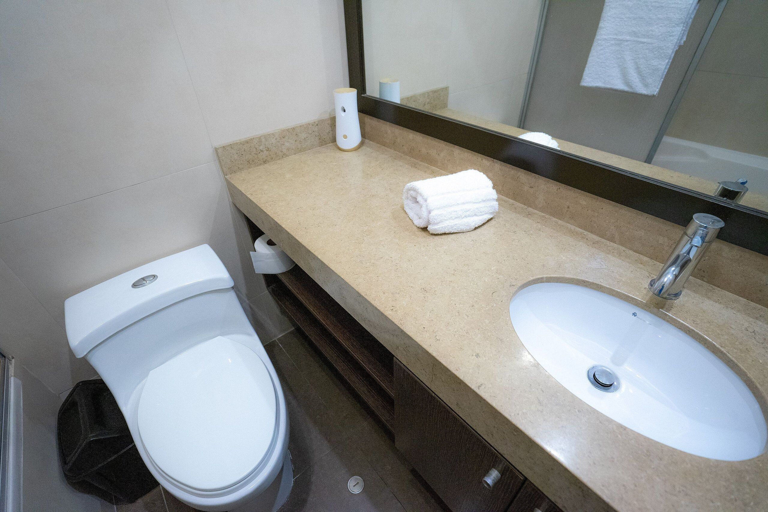 A bathroom with a toilet, sink, and mirror.