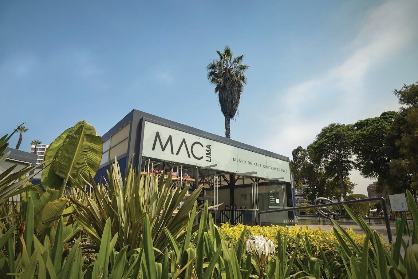 Un bâtiment sur lequel on peut lire l’inscription « MAC, musée d’art contemporain », entouré de plantes tropicales.