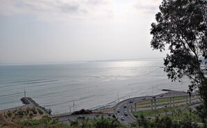 A coastal road with a bridge over the water, surrounded by greenery.