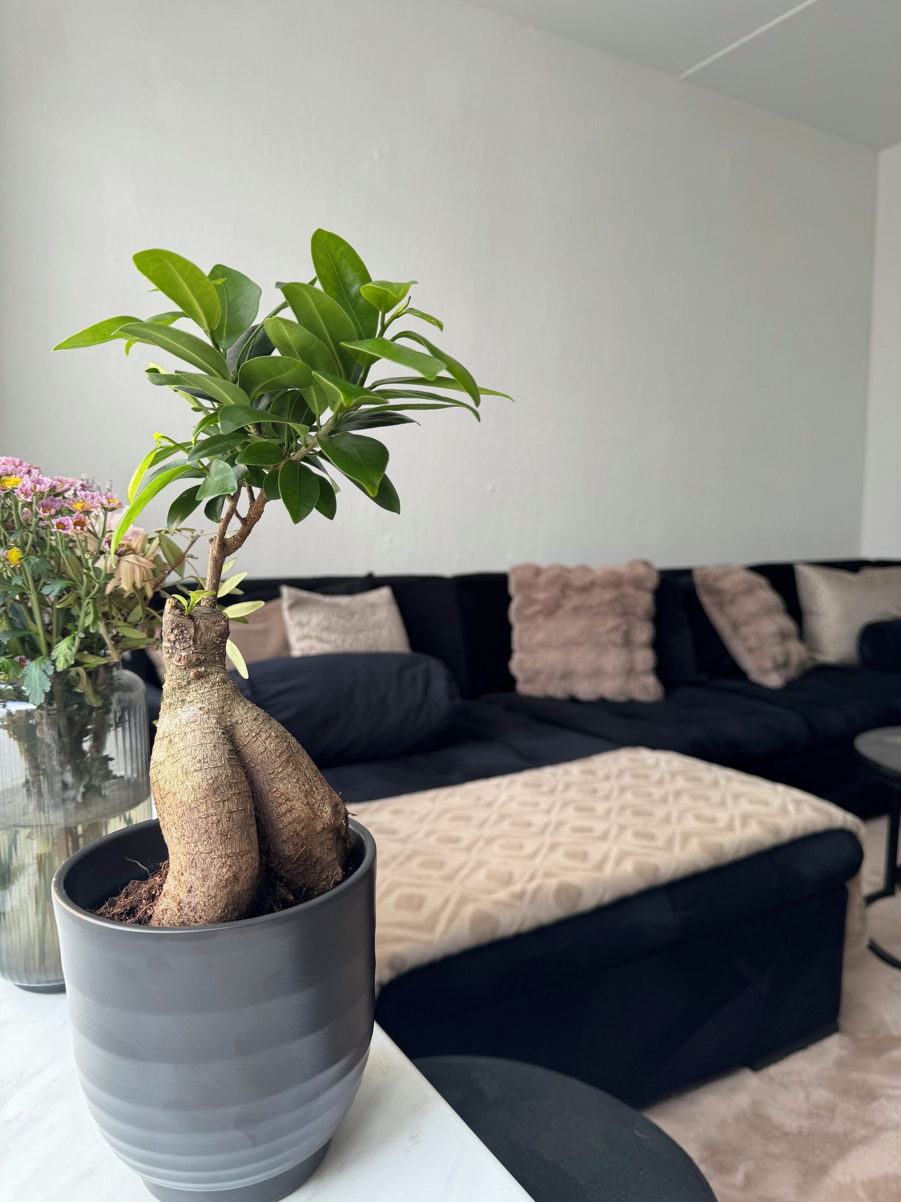 Vrbo Property
