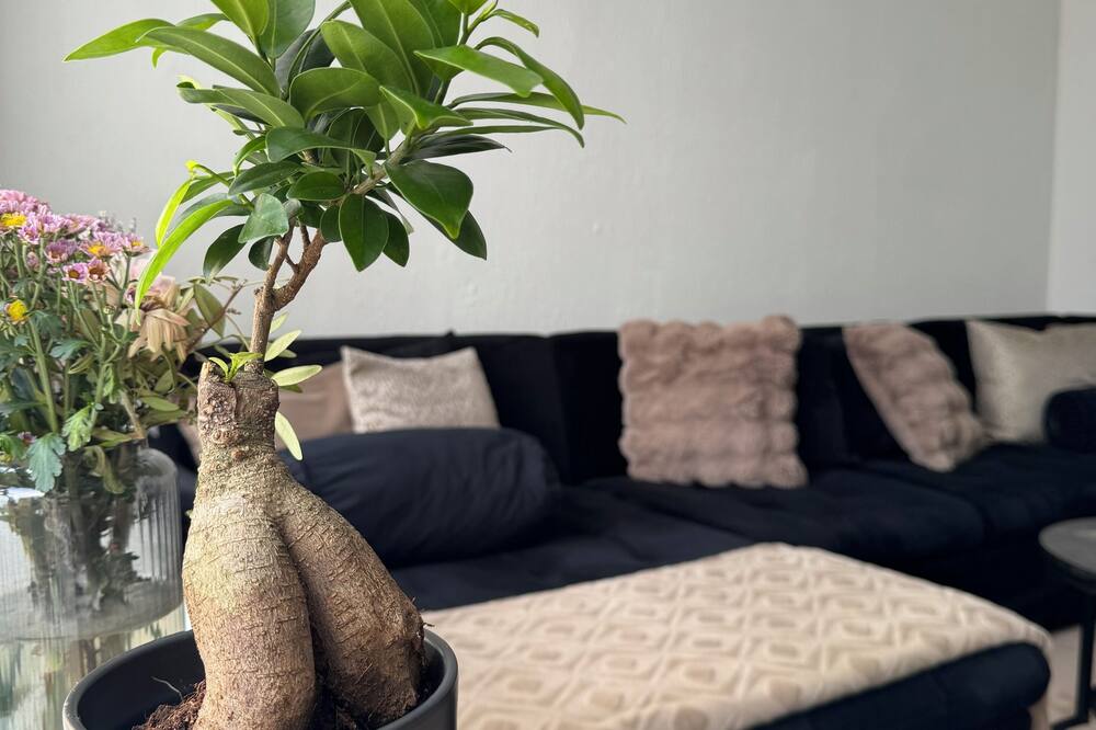 Vrbo Property