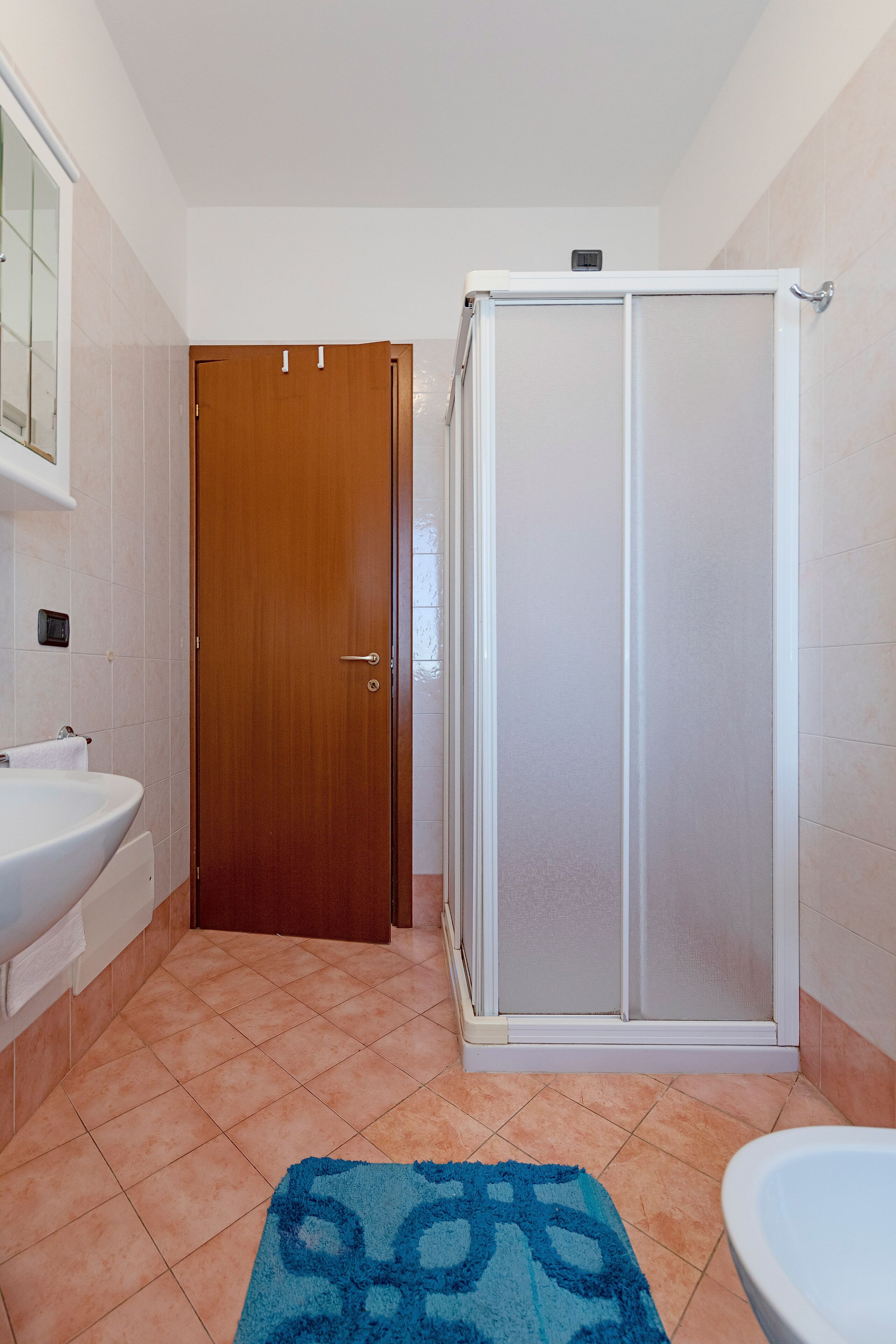 A bathroom with a wooden door, a white sink, a shower enclosure, and a blue patterned rug.