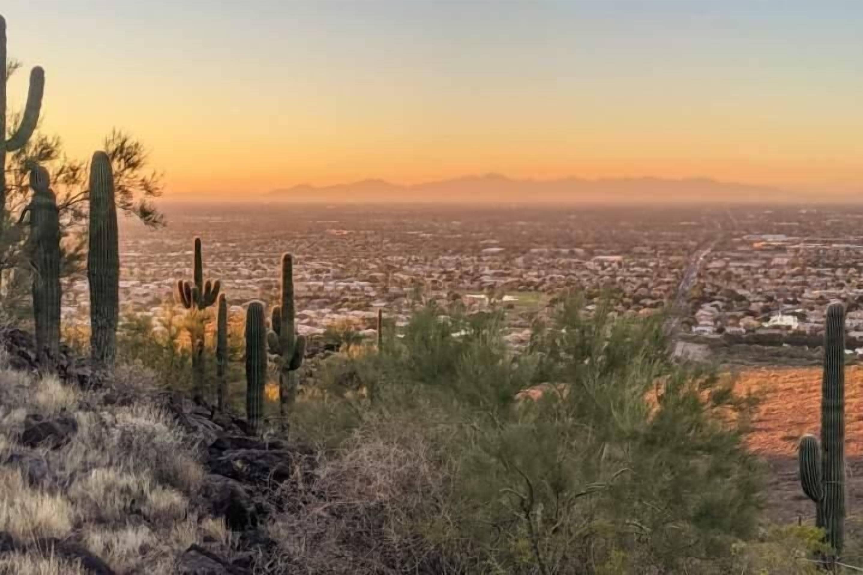 Paisaje desértico con cactus y una ciudad lejana.