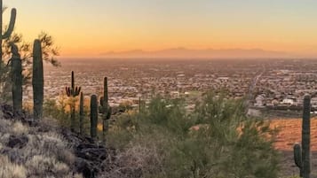 Paisaje desértico con cactus y una ciudad lejana.