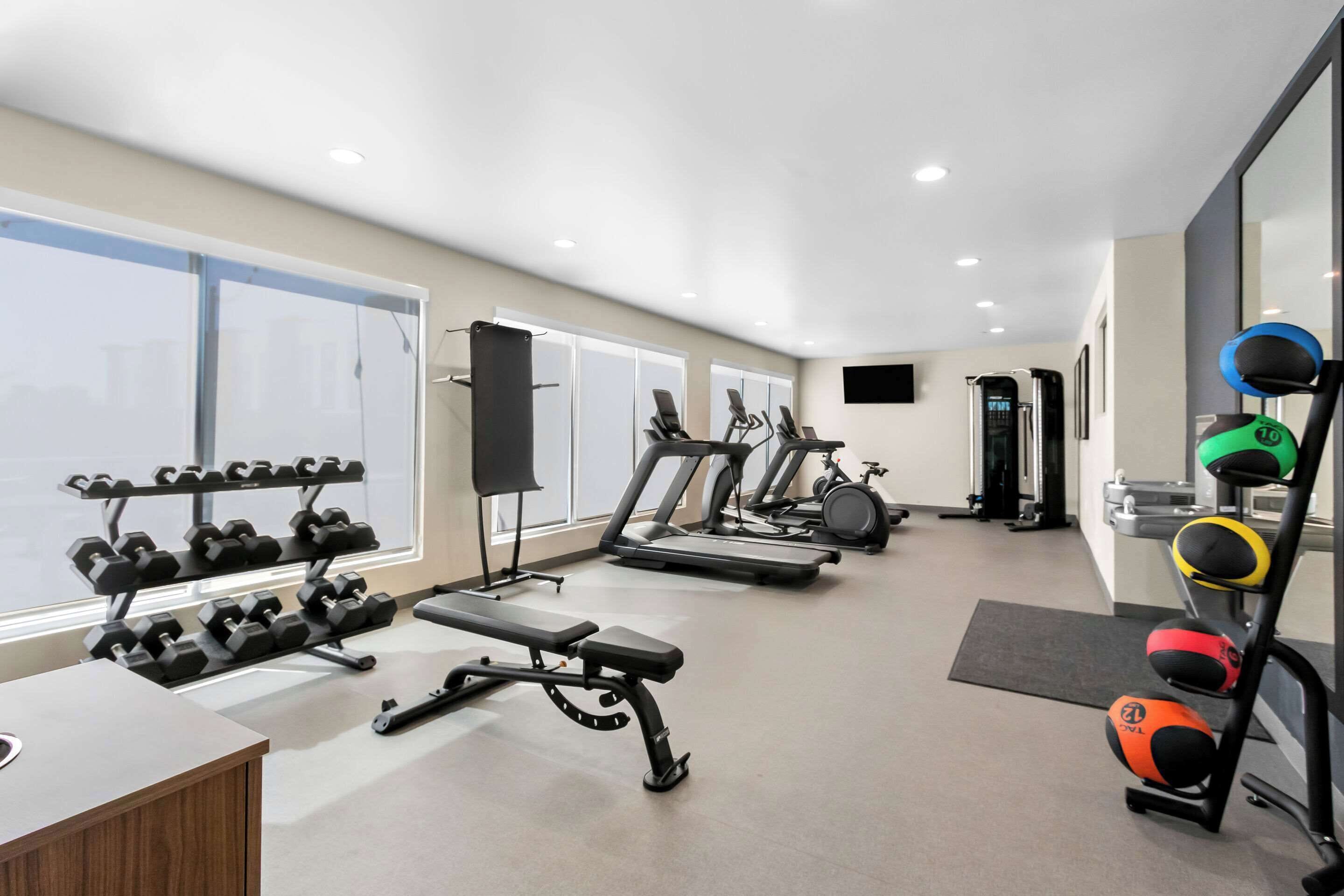 A gym with treadmills, dumbbells, a bench, and a ball rack.