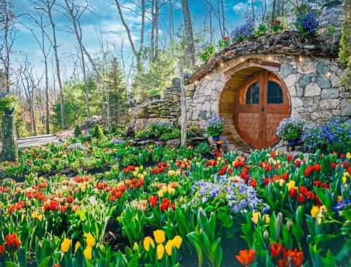 Access to Unmatched Amenities | Adults Exclusive