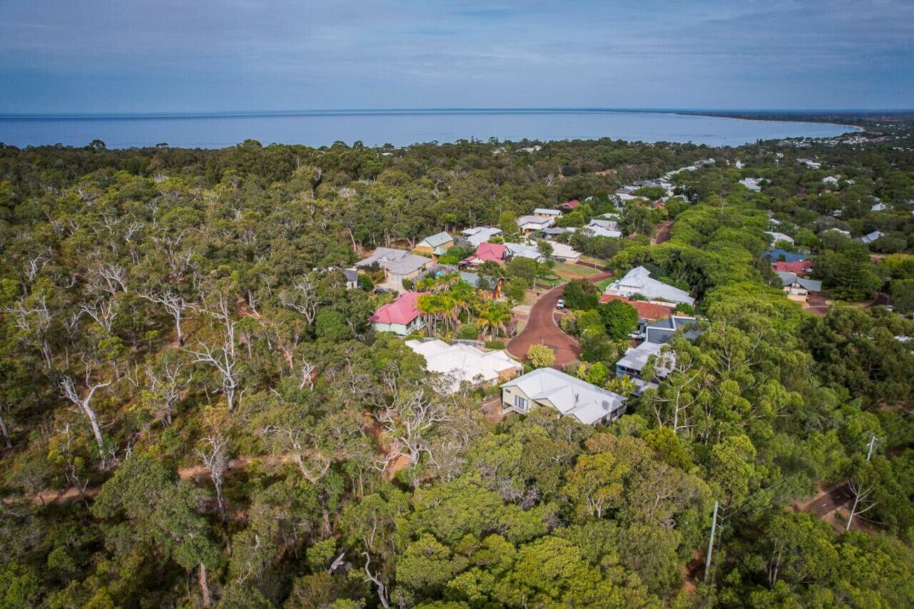 An aerial view of a residential area with houses surrounded by dense forest, a winding road, and a body of water in the background.