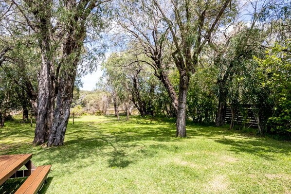 A picnic area with a wooden bench, surrounded by trees and grass.