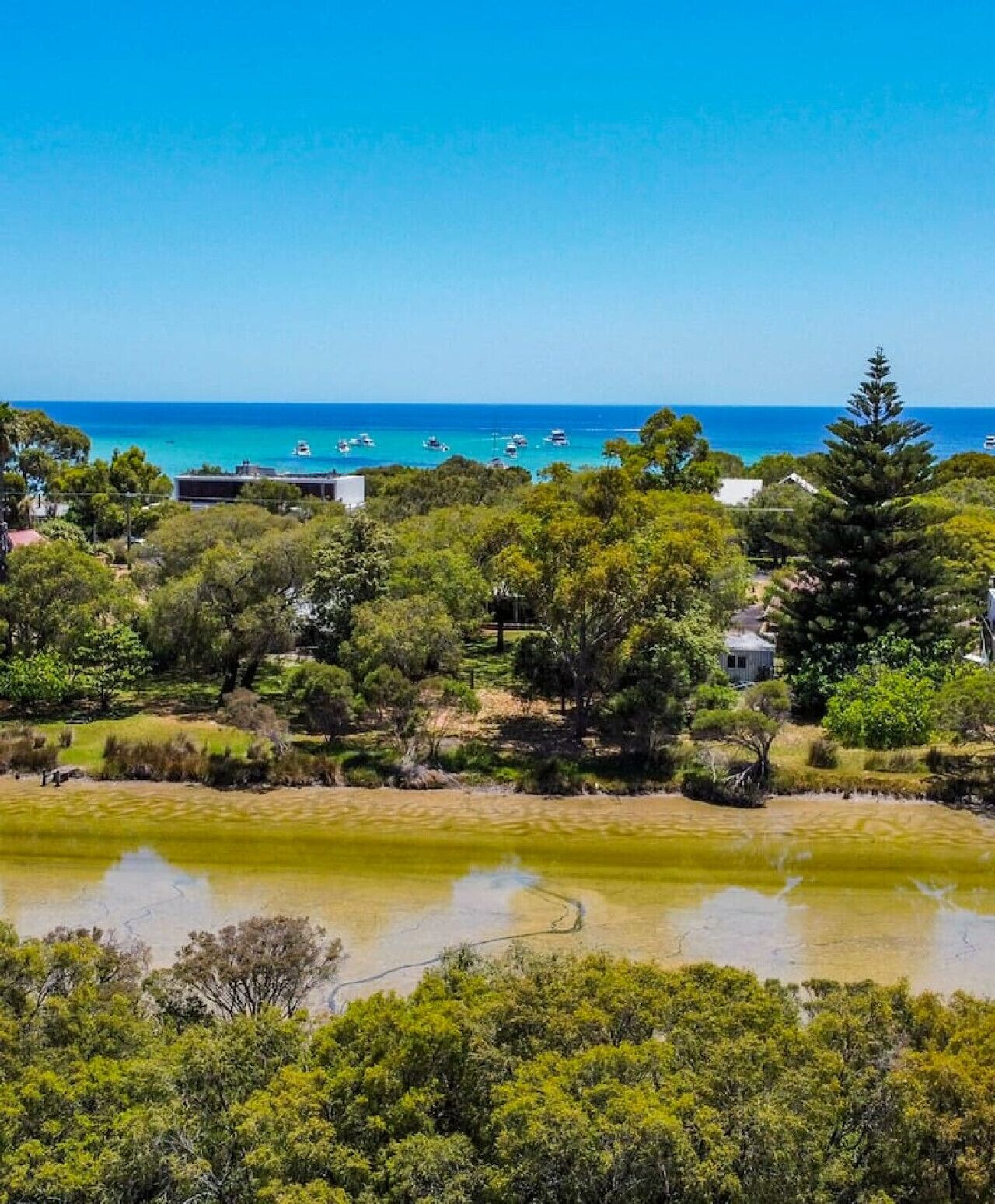 A coastal area with a clear view of the sea, boats, and a variety of trees.