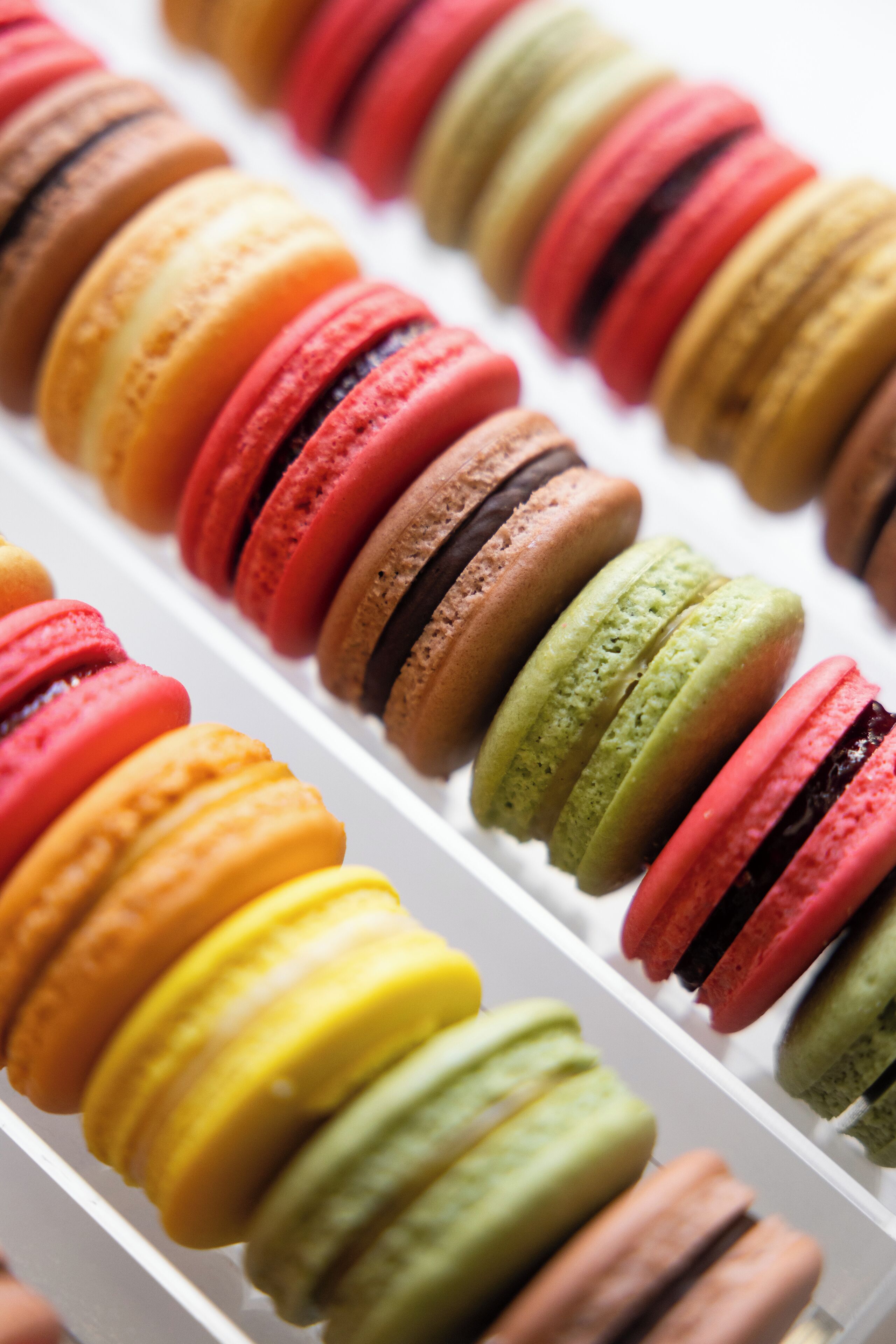 Foto - Casona Roma Norte