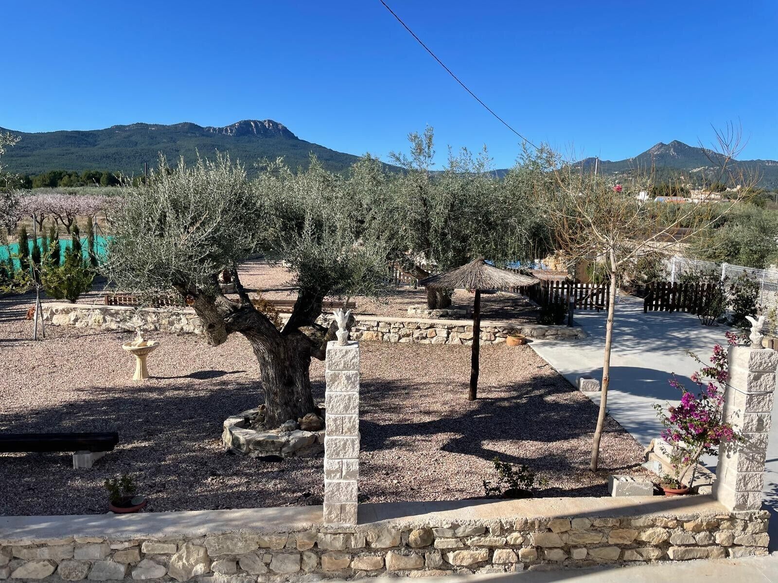 Um jardim com muros de pedra, uma árvore e uma construção com telhado de palha.