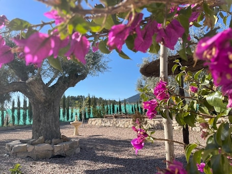 Property grounds. Country House 'Antonio' with Private Pool, Wi-Fi and Air Conditioning