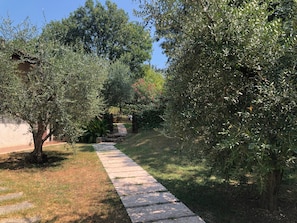 Un sentier qui traverse un jardin agrémenté d’arbres et d’arbustes, avec un mur de pierre et un bâtiment en arrière-plan.