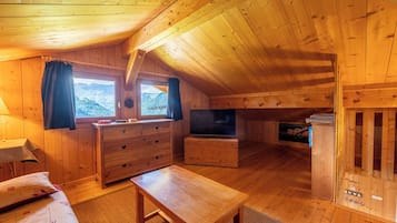TV, fireplace, ping pong