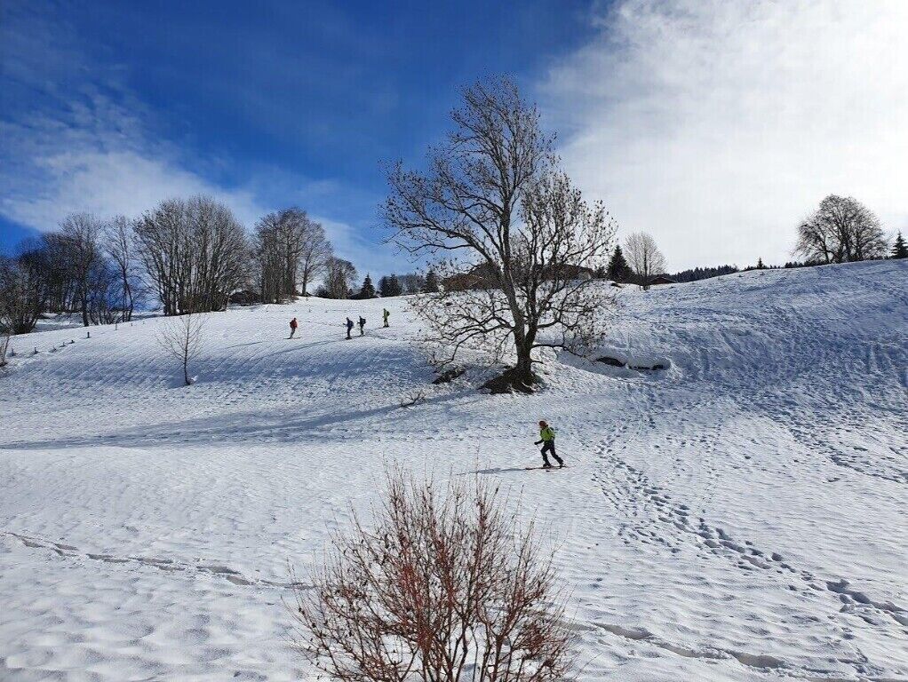 Un paysage enneigé sous un ciel dégagé, avec quelques personnes qui font du ski et un grand arbre au premier plan.