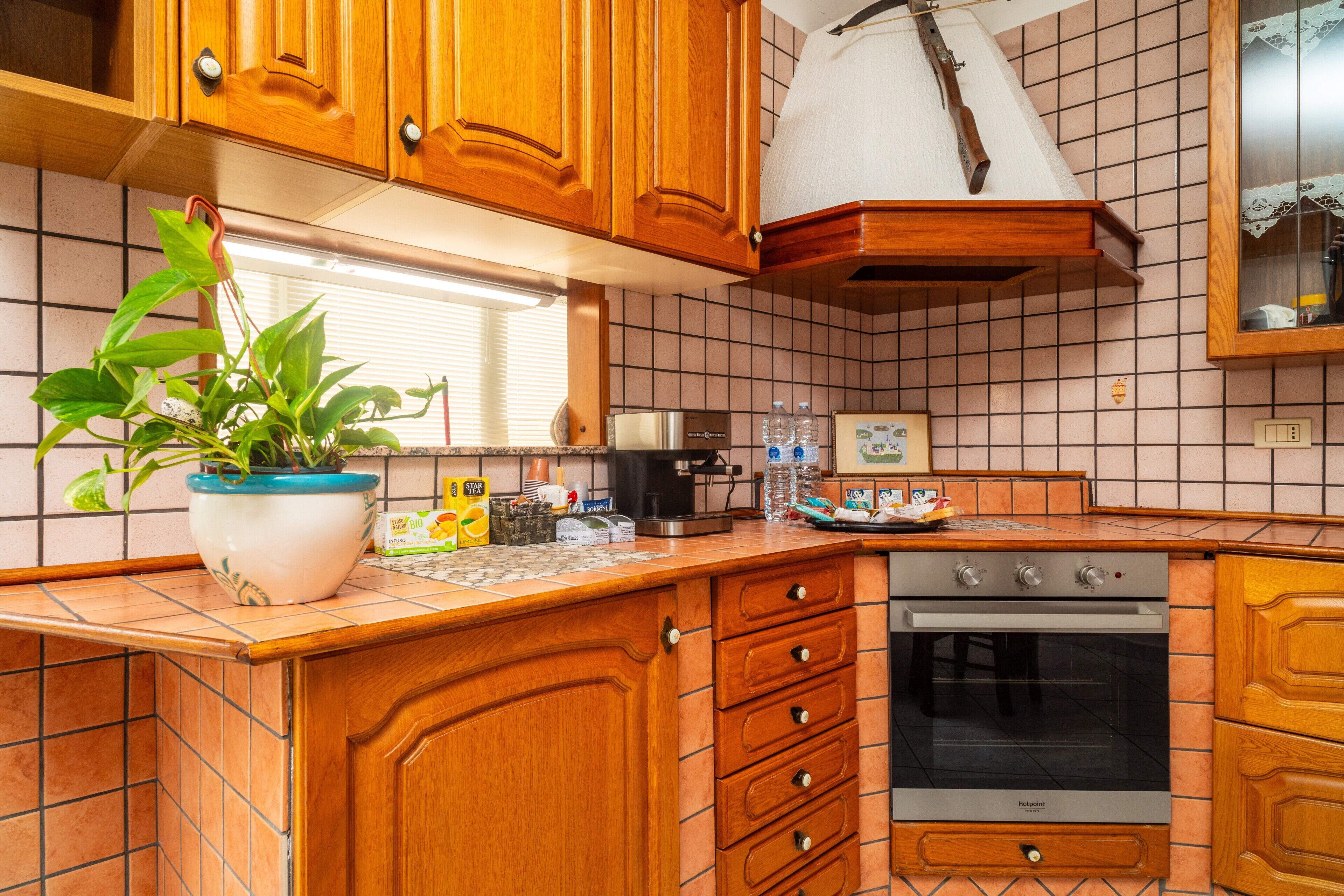 Fridge, oven, stovetop, coffee/tea maker